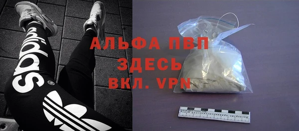 ГАЛЛЮЦИНОГЕННЫЕ ГРИБЫ Аркадак