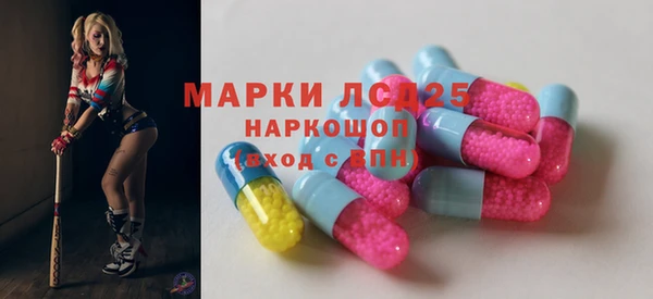 ГАЛЛЮЦИНОГЕННЫЕ ГРИБЫ Аркадак