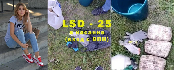 ГАЛЛЮЦИНОГЕННЫЕ ГРИБЫ Аркадак