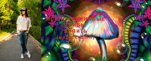 ГАЛЛЮЦИНОГЕННЫЕ ГРИБЫ Аркадак