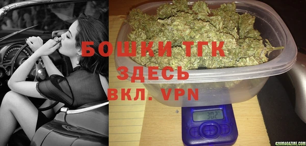 эйфоретик Арсеньев