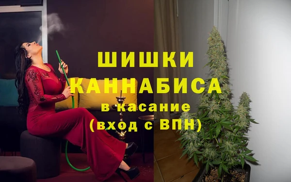 эйфоретик Арсеньев