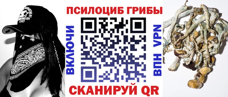 где продают наркотики  Руза  Галлюциногенные грибы Cubensis 